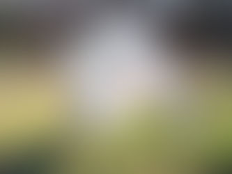 LOOKING BACK to 2026