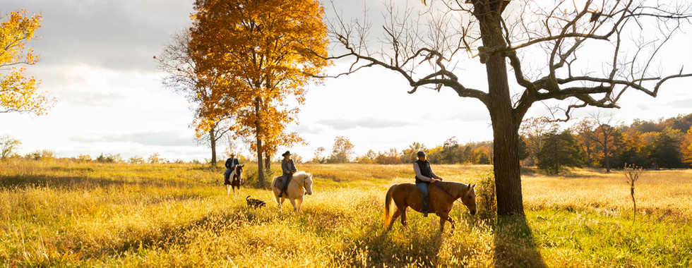 Three riders on horses from The Stables Equine Therapy traverse a sunlit field with autumn trees, accompanied by a dog. The sky is partly cloudy, creating a serene scene.