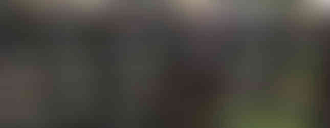 Denny Ward by open gate in horse field