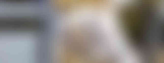 white horse with blue eyes