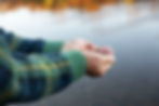 Hands cupped with water dripping, wearing a green and blue sweater. Background of calm water and blurred autumn trees, serene mood.