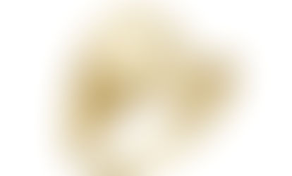 ANEL AJUSTÁVEL ORGÂNICO NO OURO AN311-O | R$ 74,70