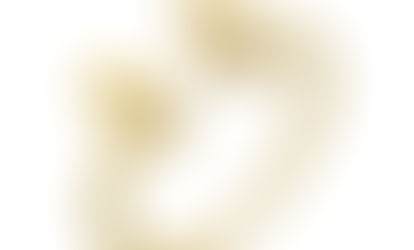 ANEL AJUSTÁVEL BORBOLETA NO OURO AN282-O | R$ 66,00