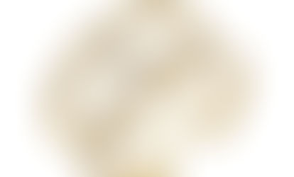 ANEL AJUSTÁVEL CRAVEJADO NO OURO AN276-O | R$ 149,70