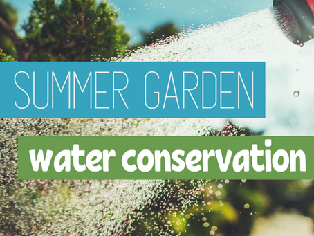 Summer Garden Water Conservation