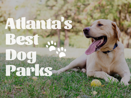 Atlanta's Best Dog Parks