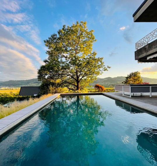 Baum am Pool
