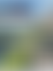 【交通税と県議会の攻防・第21回】委員会が公式に「導入ありき」を牽制、賛成議員の酷い論理