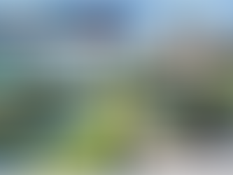 【交通税と県議会の攻防・第18回】自助・共助・公助と導入前提の本音