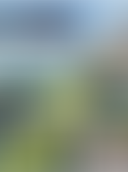 交通税と県議会の攻防