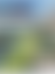 【交通税と県議会の攻防・第10回】「税収規模も使途も未定」のまま走る議論 令和４年７月②