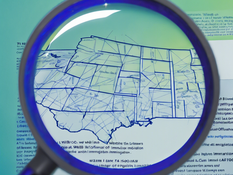 Navigating the Complexities of Immigration Law with Expert Guidance