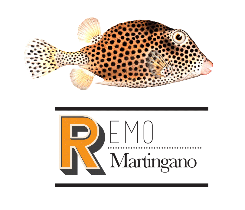 remo-martingano.gif