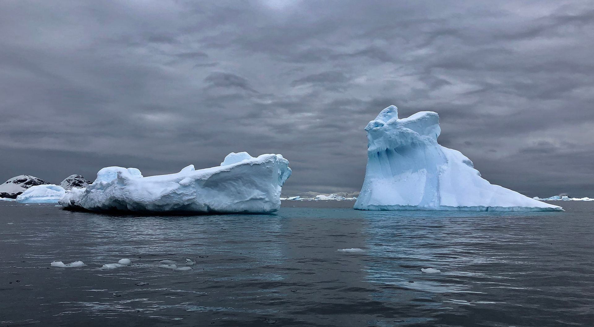 Icebergs in Antartica
