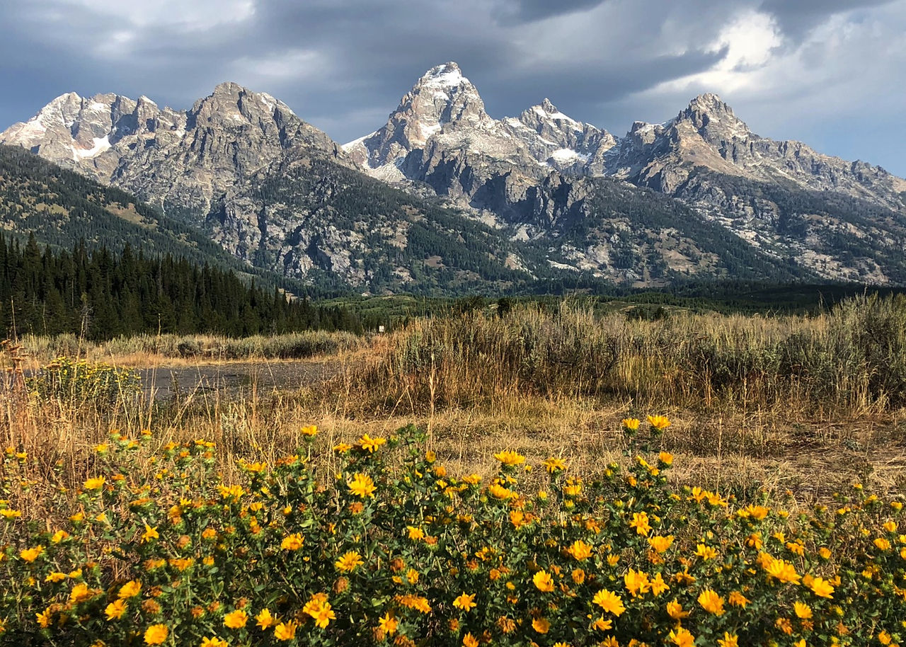 Grand Teton National Park
