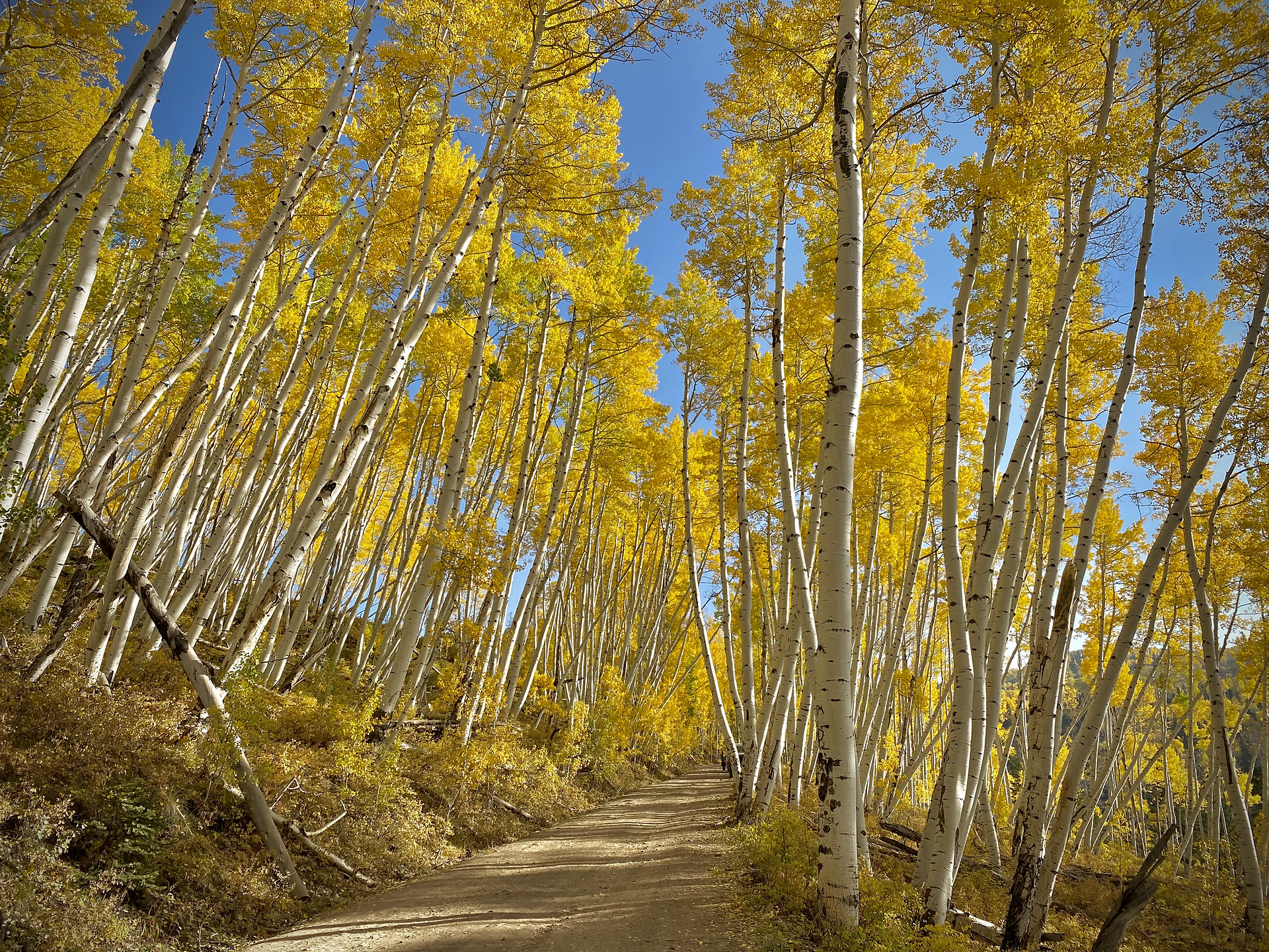 Driving Last Dollar Road from Ridgeway to Telluride, CO