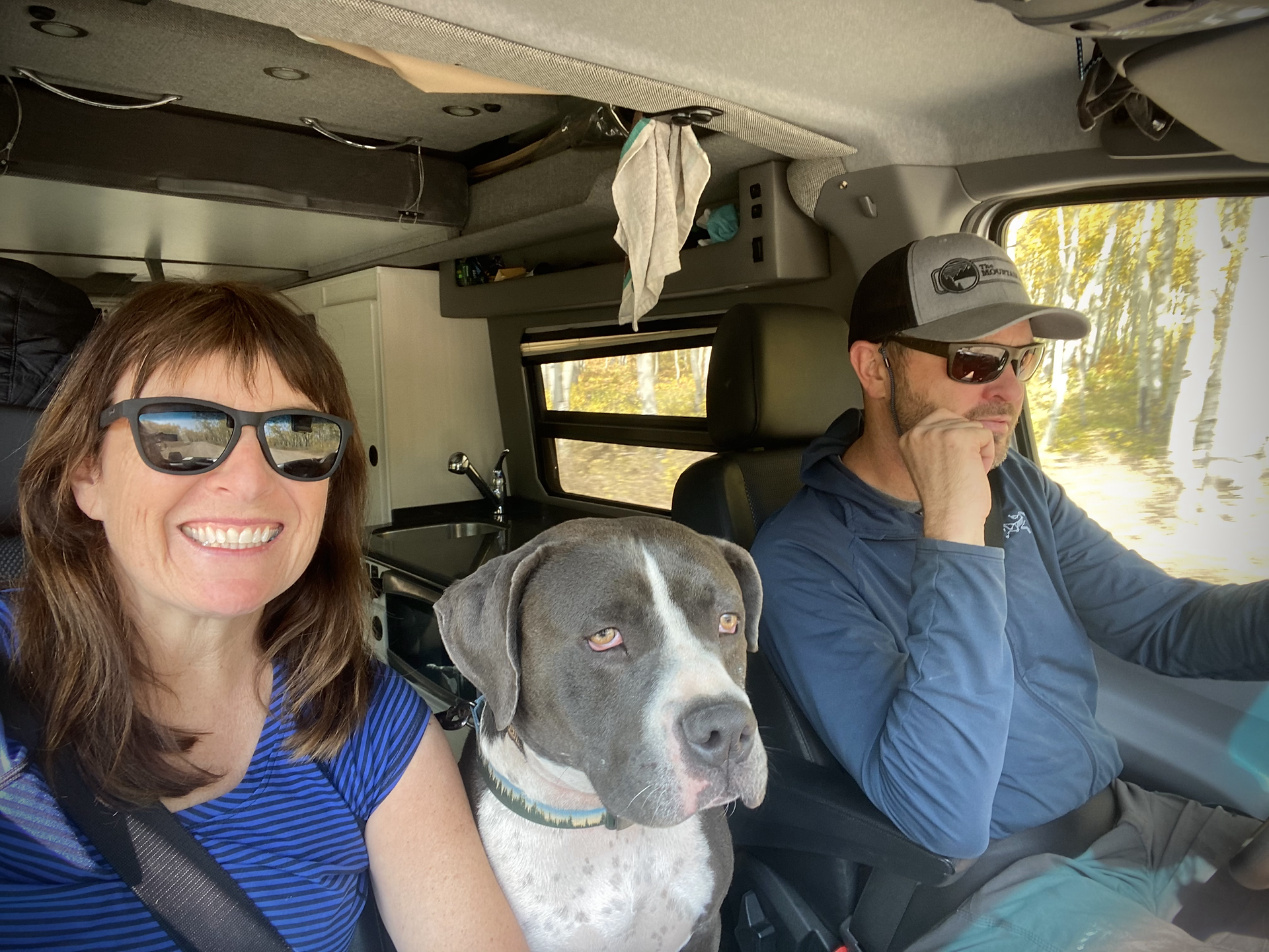 Family sprinter van road trip! Quincy likes to stand on the cooler so he can watch out the front window.