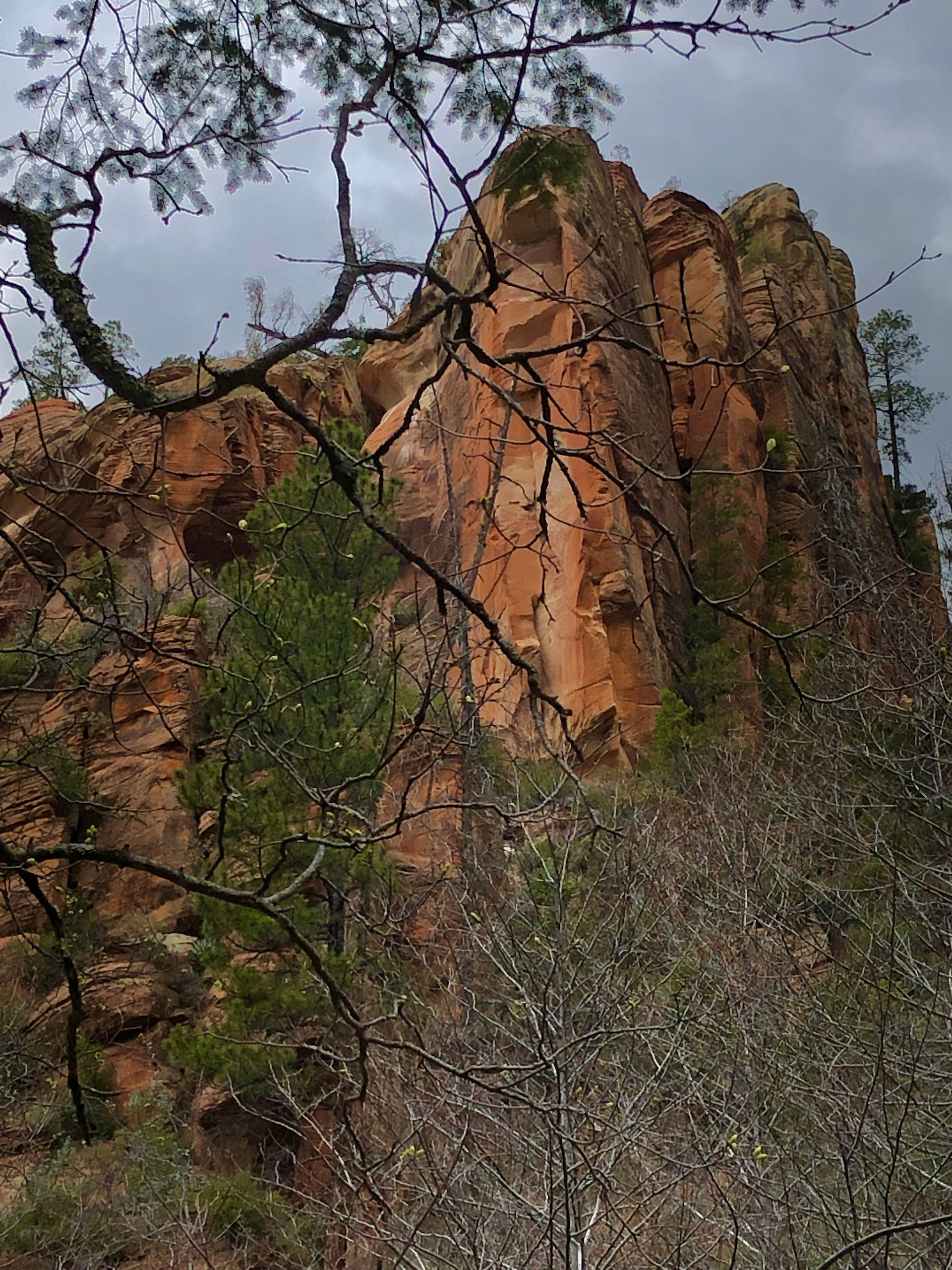 West Fork Trail, Sedona