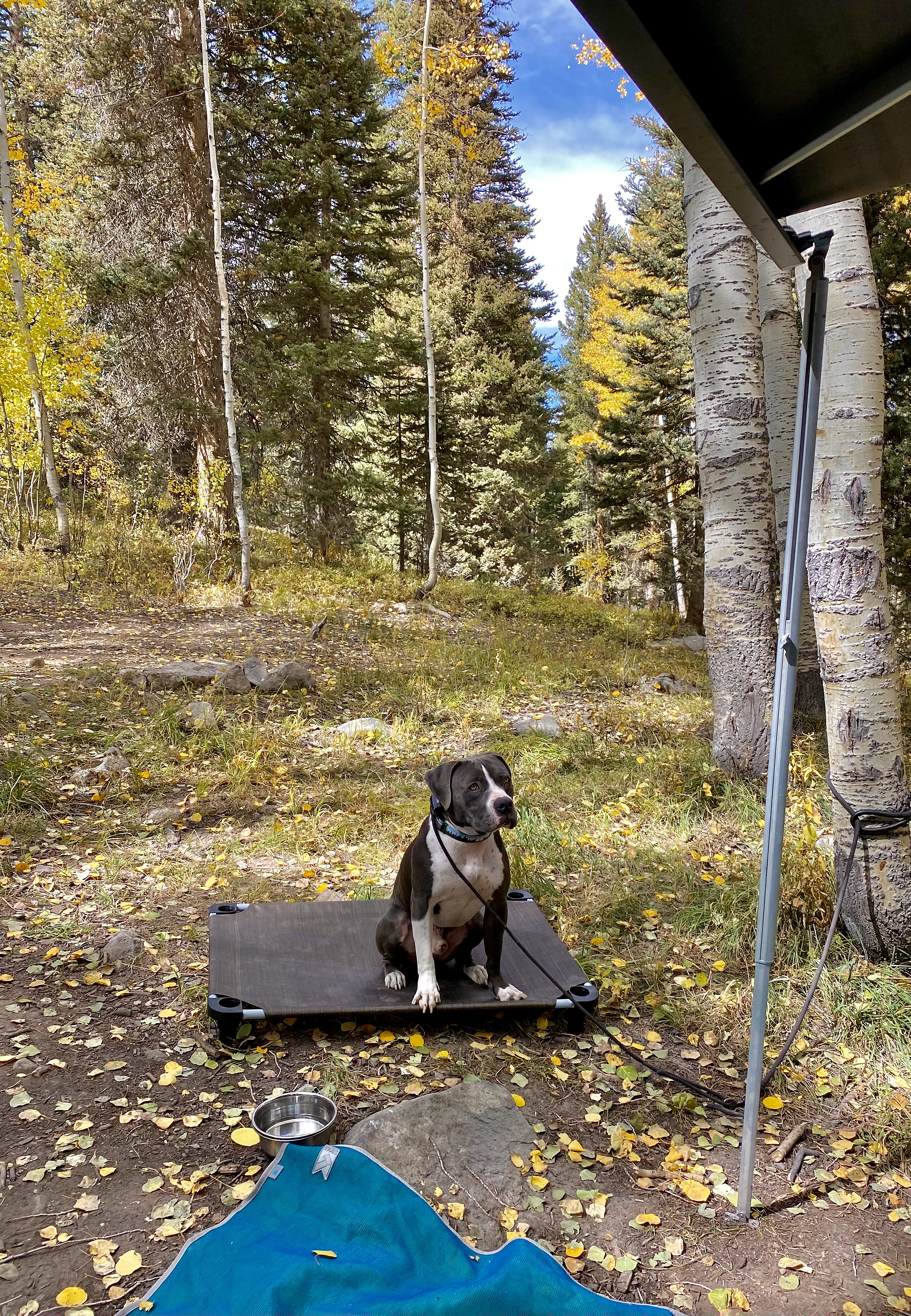 We also use a 'place' board/sling bed. Not only is this a great 'time out/quiet zone' for him to relax, its gives a specific place to hang out while we set up camp