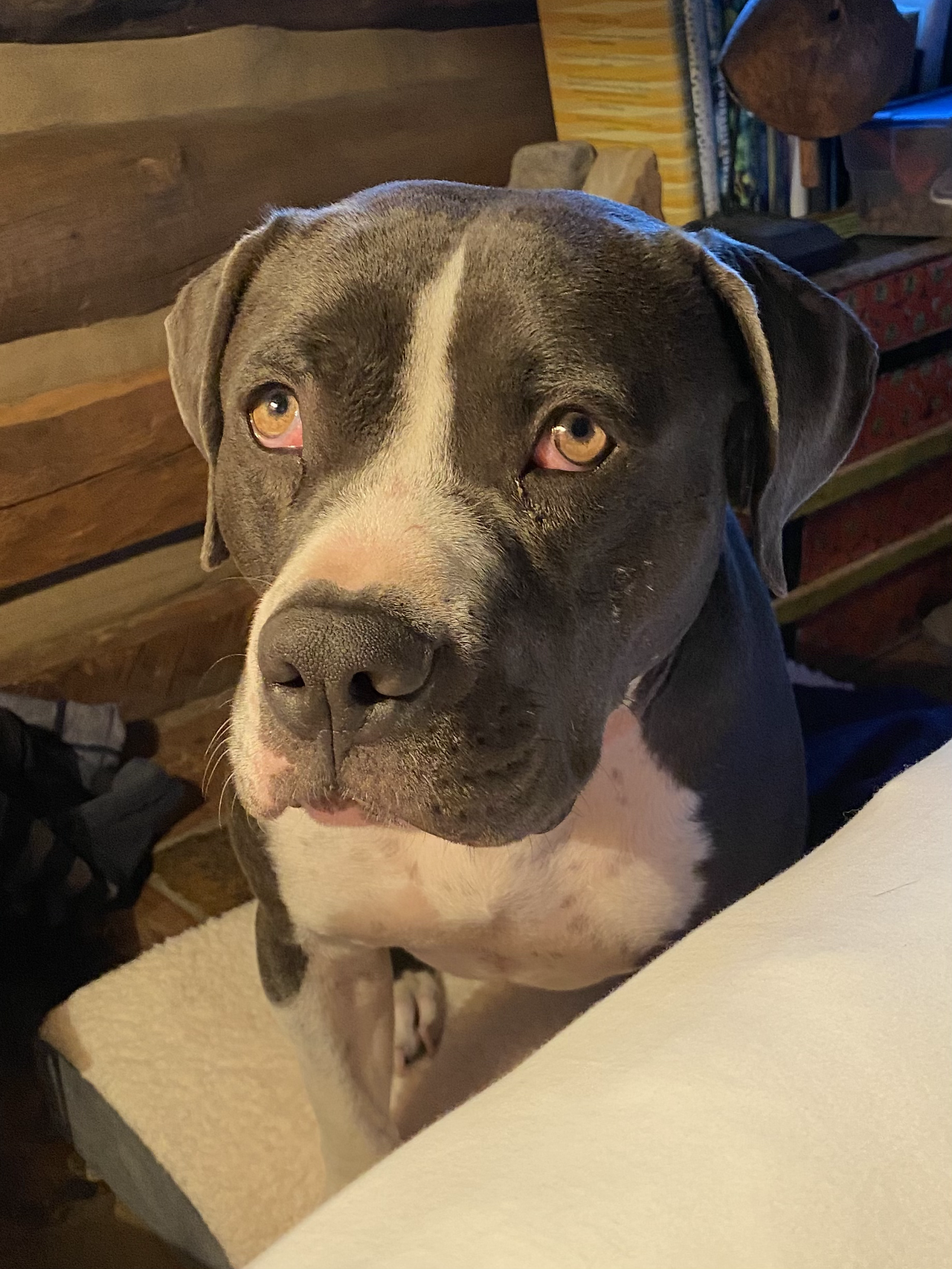 Quincy - Can I sleep with you??