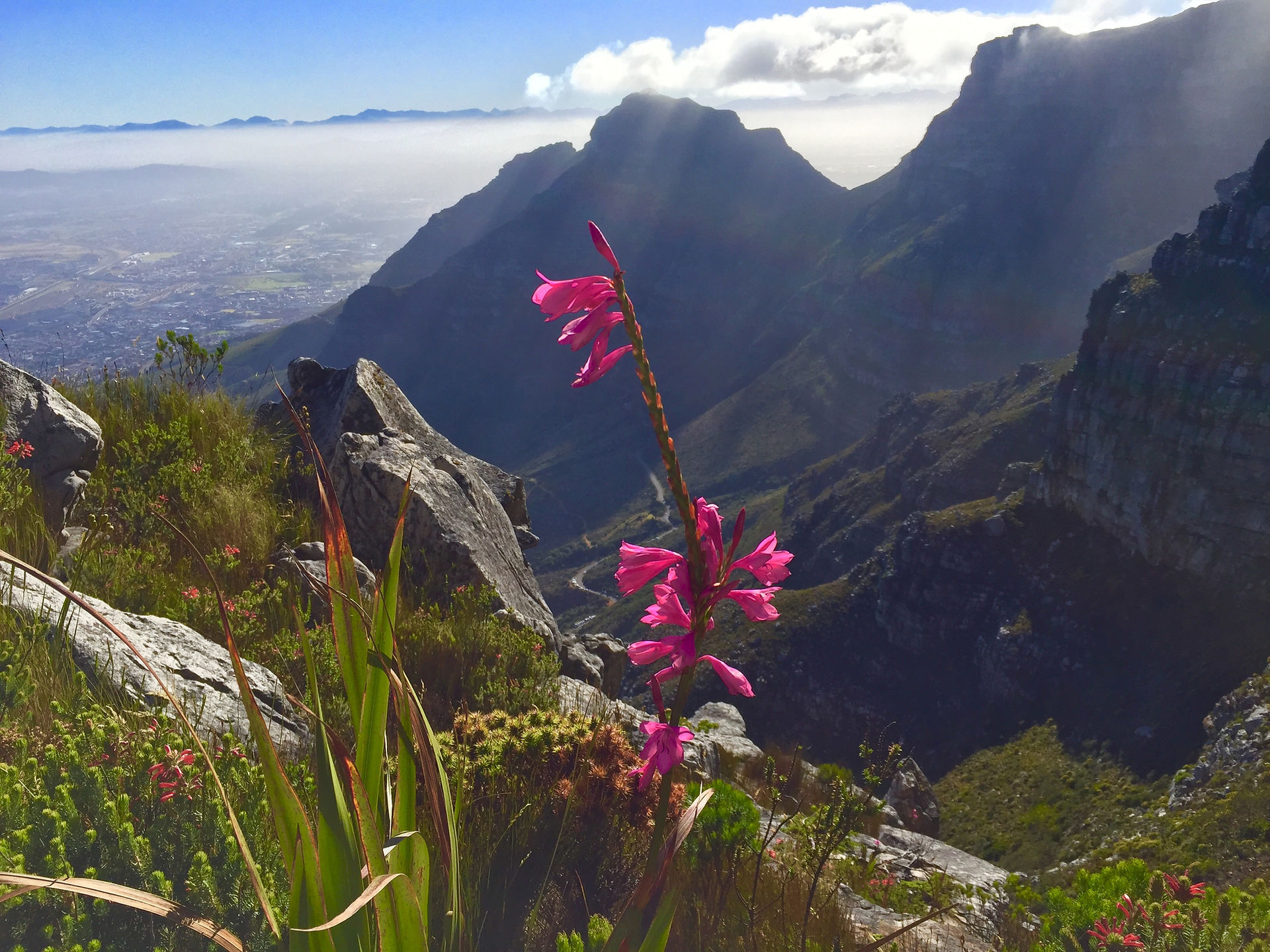Cape Town, South Africa