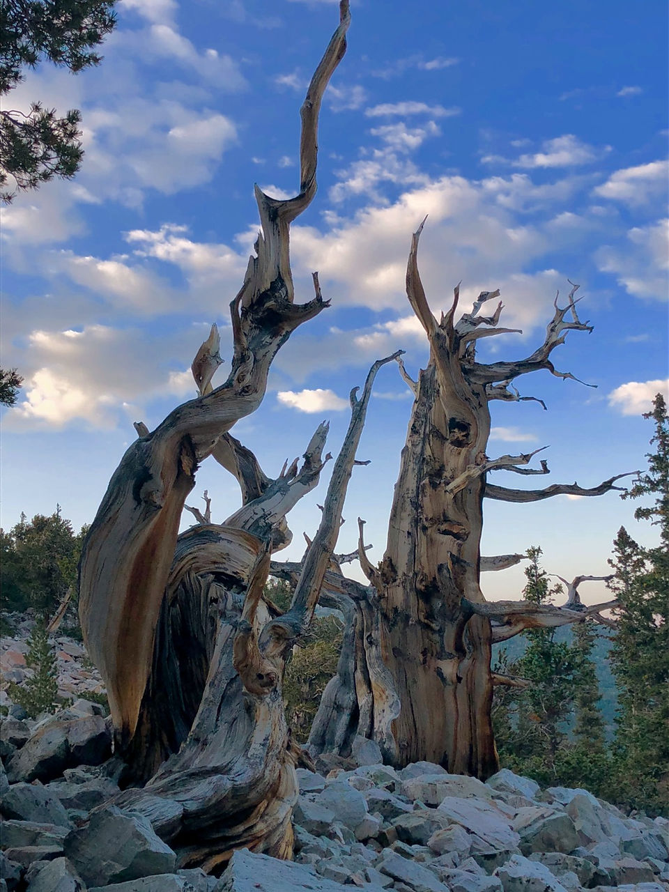 Great Basin National Park