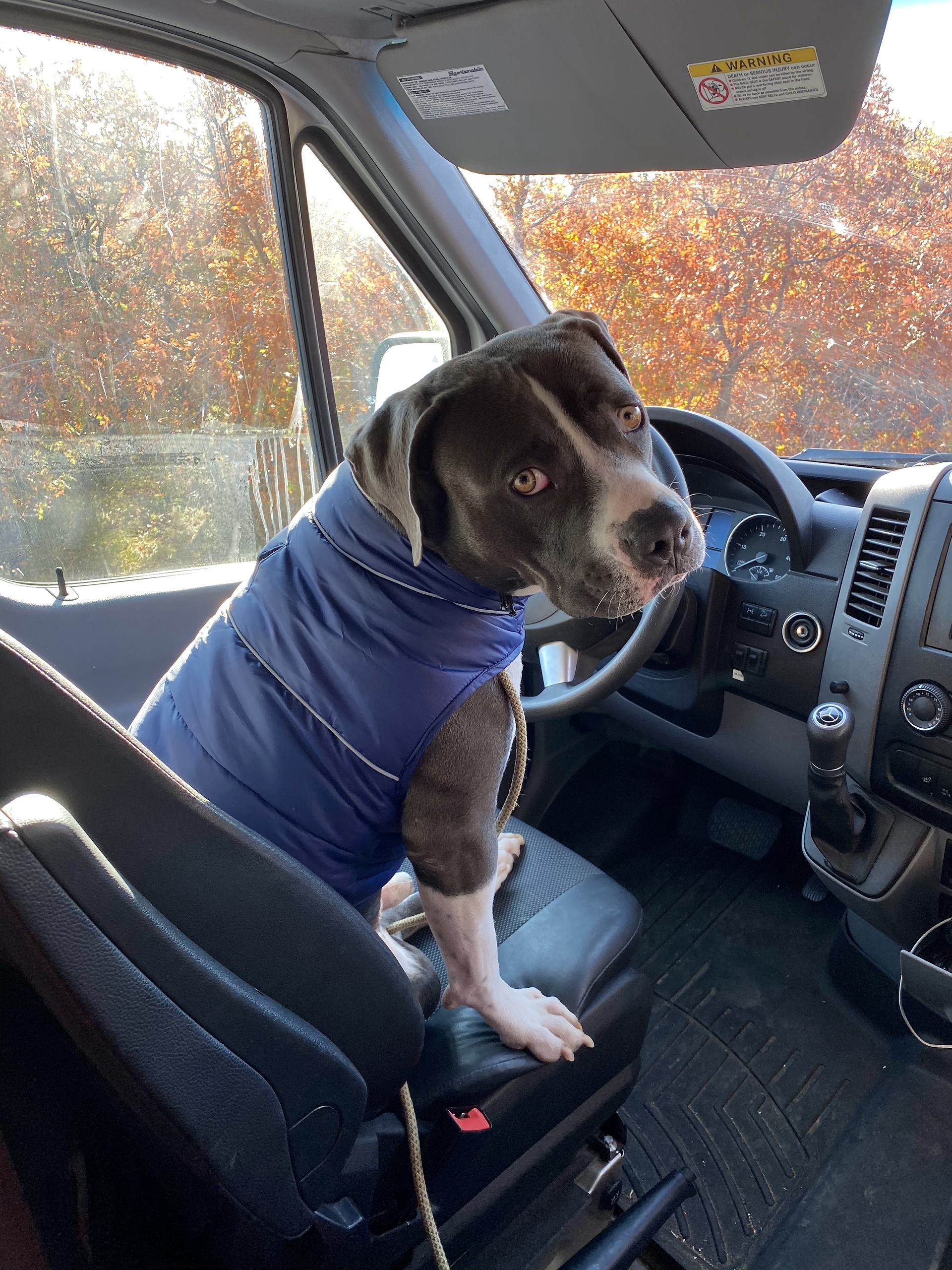 ..unless he snuck into the front seat!