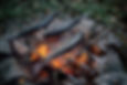 Grilled Fish