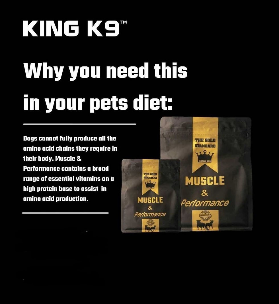Thumbnail: DOG SUPPLIMENTS 