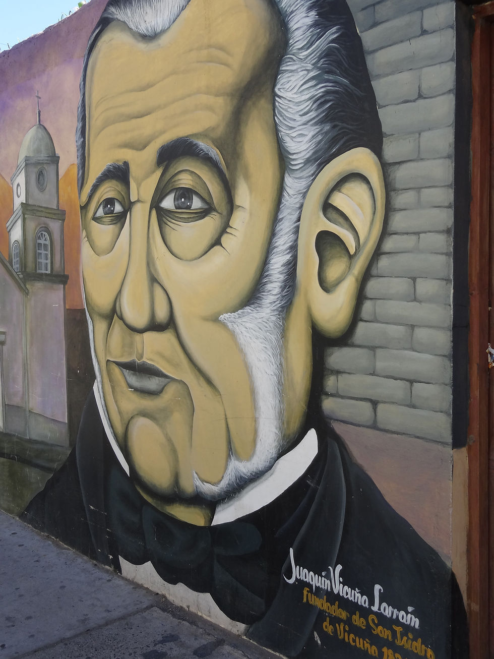 José Joaquín Larraín Vicuña.