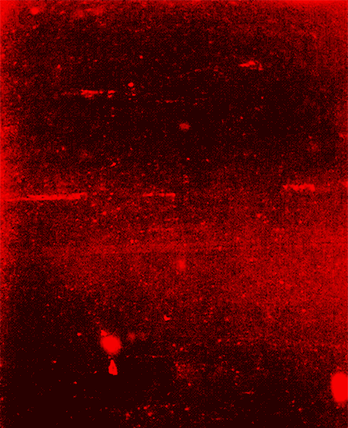 e445a37c485d5a8e91961052f9cd88c7.gif