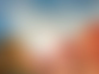 Lost and Found: The Importance of Professional Metal Detecting Services in Mallorca