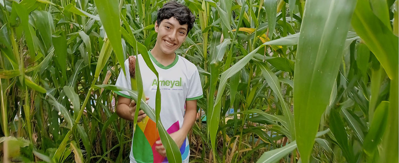 Colegio_AMEYALI_EcologiaSecundaria2.jpg
