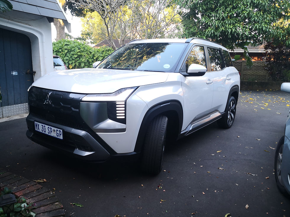 Mitsubishi Destinator Review
