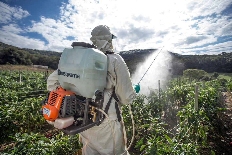 Husqvarna South Africa