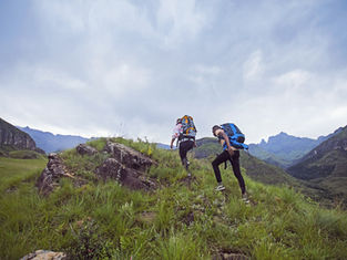 Beyond Safari: Understanding the New American Traveller to South Africa