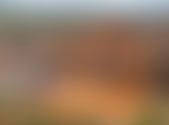 KwaZulu Natal's luxury revival: Porsche, Hilton lead the charge in North Coast's Sibaya precinct