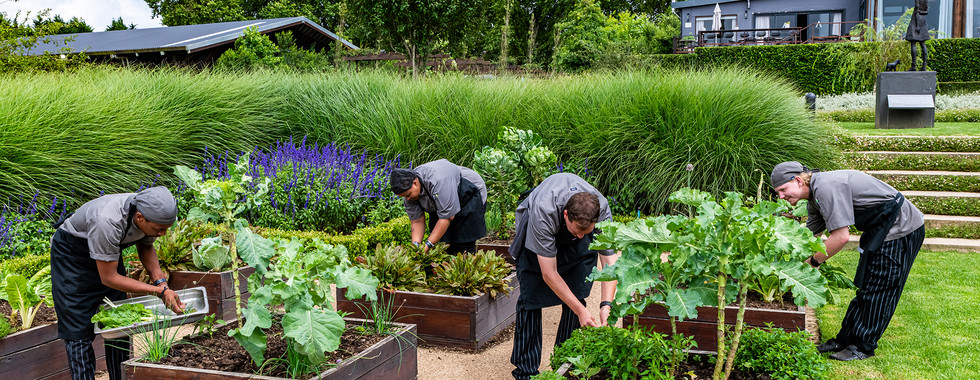 Brahman Hills veggie gardens