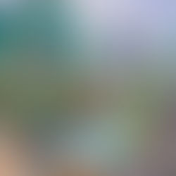 Durban Film City: The latest update from the eThekwini Municipality has just been released