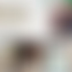 Economic Transformation in South Africa: Key Takeaways of SONA 2026