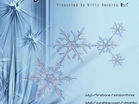 Freight Winter Tour