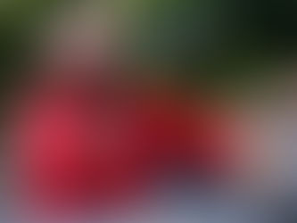 POR UNA VOTACIÓN MASIVA, TEMPRANA Y PACIFICA