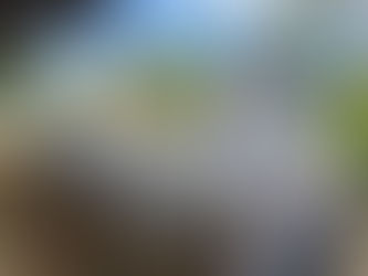 Diseñan plataforma para conocer avances en tiempo real del Bono Cafetalero