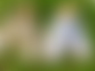 Trucos caseros para limpiar las zapatillas blancas y dejarlas como nuevas