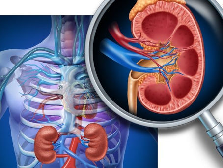 Empagliflozina muestra beneficios cardiovasculares y renales sostenidos en adultos con insuficiencia