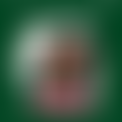 Emprendedora hondureña: Gana premio mundial por reducir el desperdicio de alimentos y empoderar a mujeres rurales.