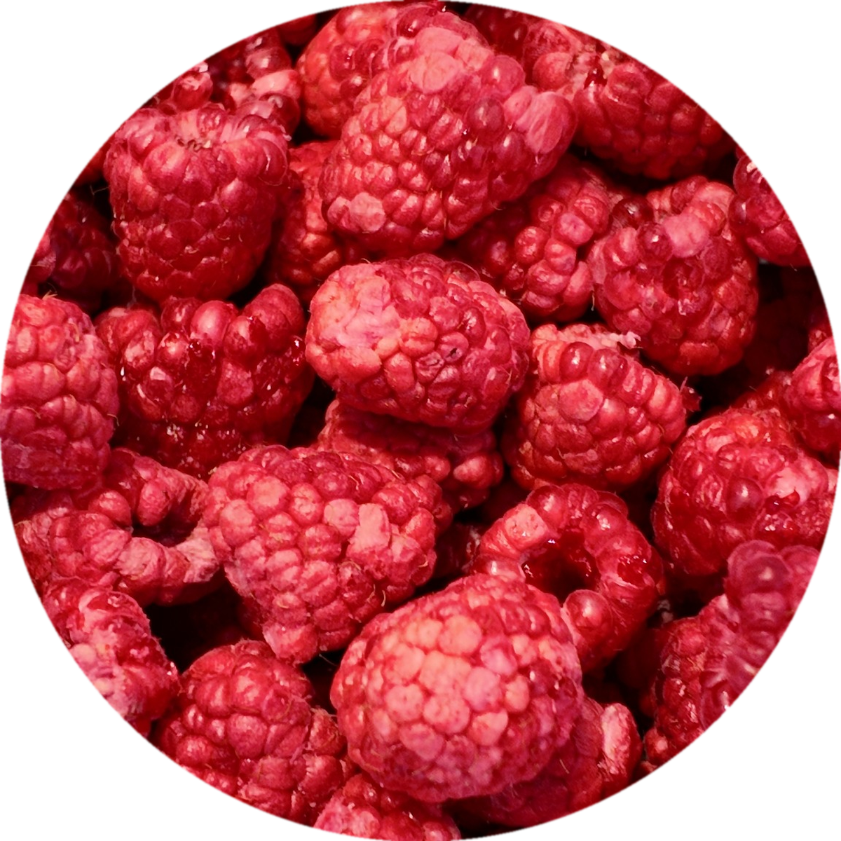 Freeze Dried Raspberries