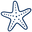 starfish.png