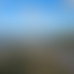 Finding Your Peaceful Place: Why We All Need a Sanctuary for the Soul