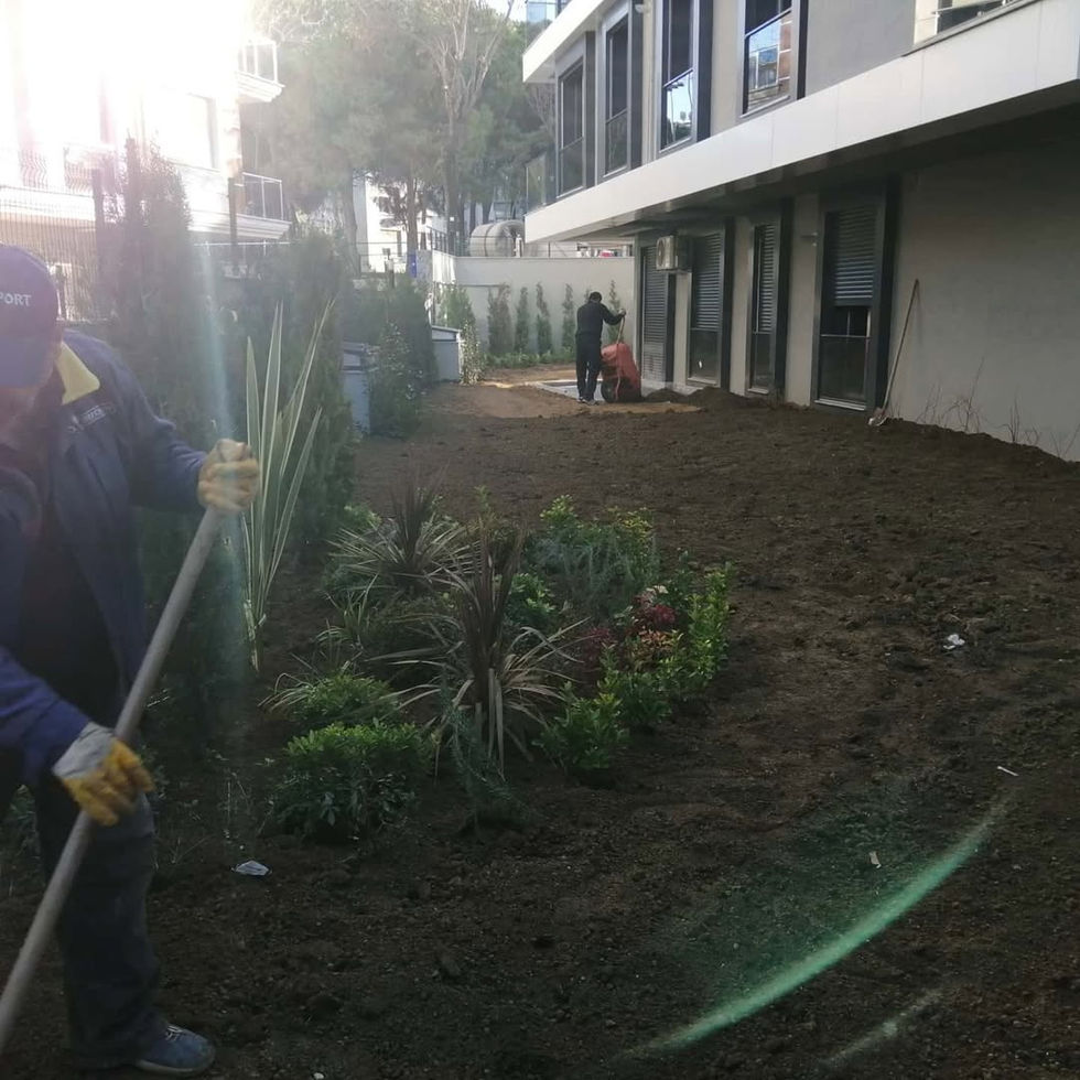 Yeşilköy Çam apartmanı bahçe düzenleme ve peyzaj işi çalışmamız (8)
